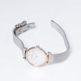 Emporio Armani Retro Mother of Pearl Dial Silver Mesh Bracelet Watch For Women - AR2067